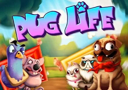 Pug Life